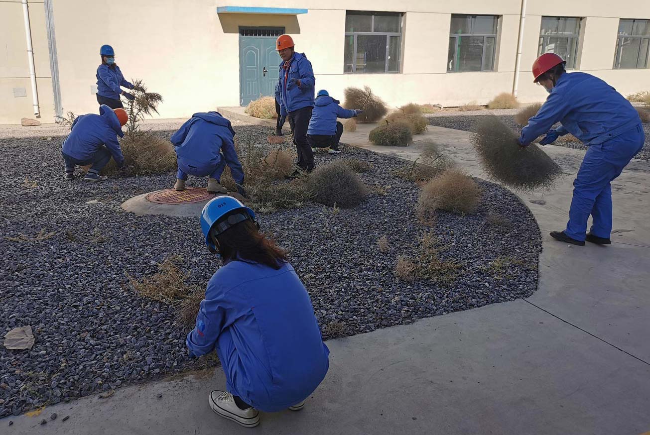 常州送料機廠清理枯草 常州送料機廠清理枯草