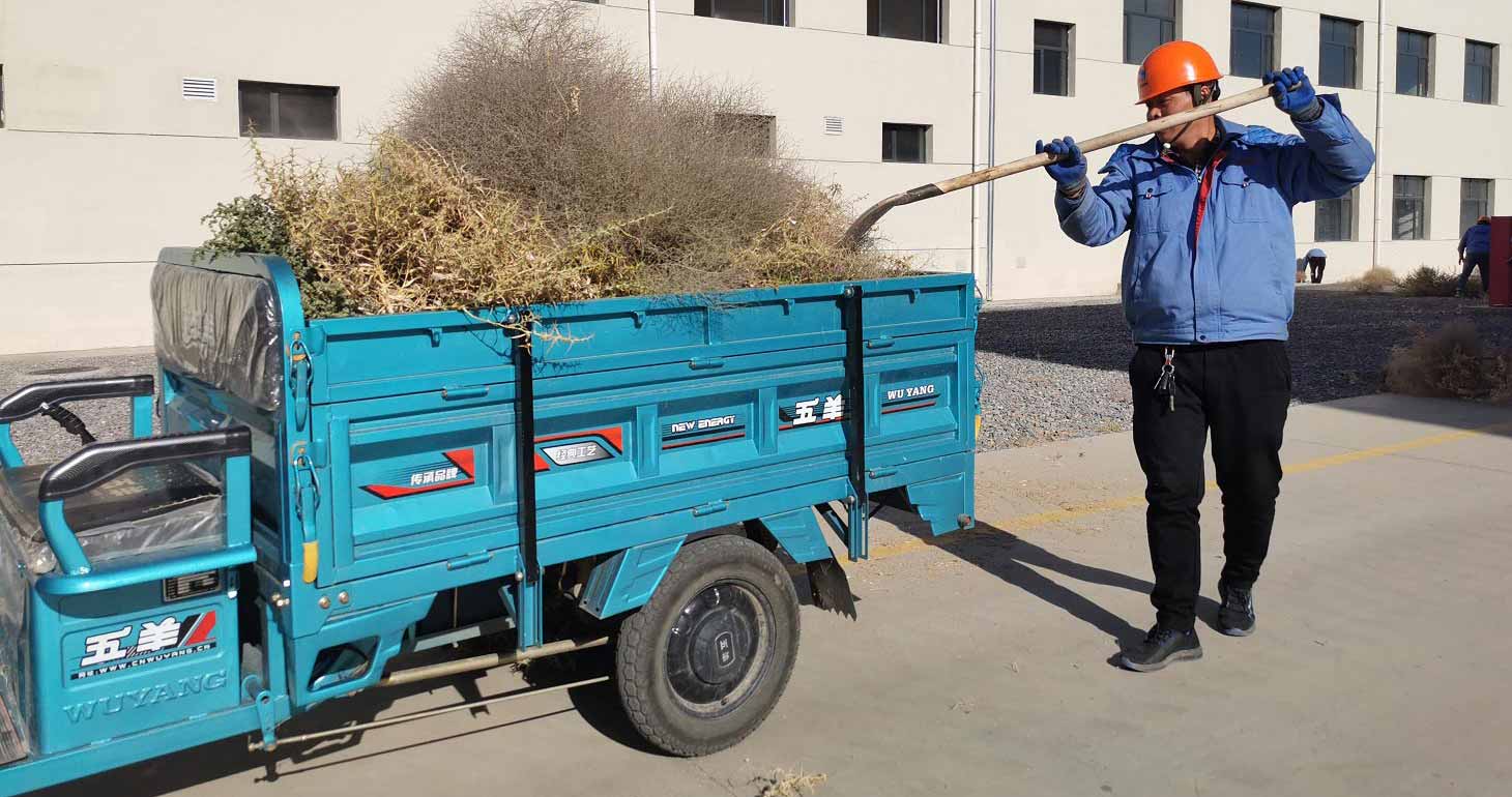 常州廠區清理枯草落葉 常州廠區清理枯草落葉